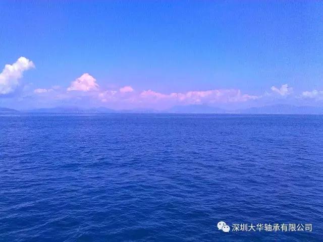 深圳大華軸承2017南澳拓展 深圳大華軸承2017南澳拓展